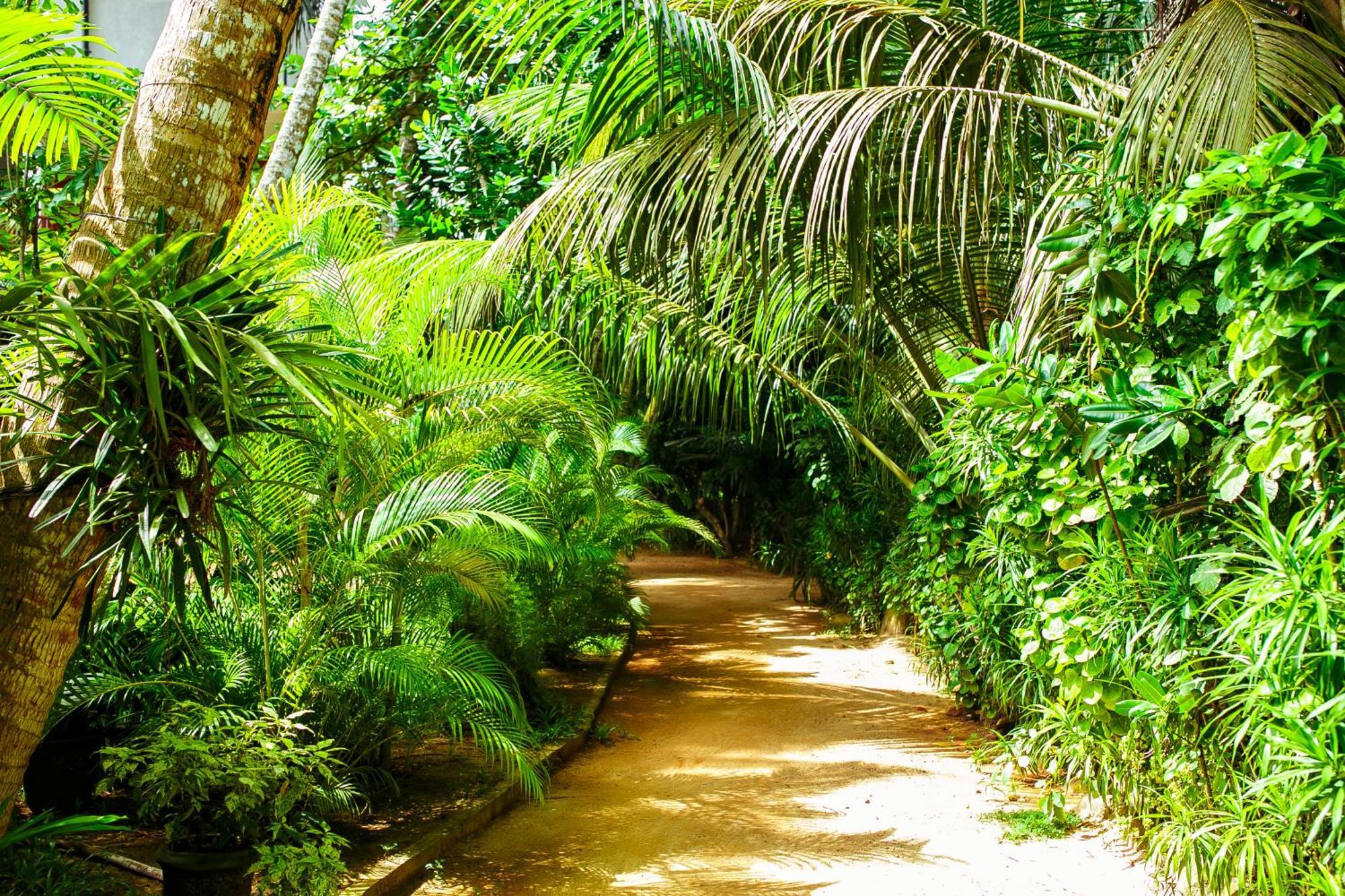 Flora And Fauna Mirissa Extérieur photo