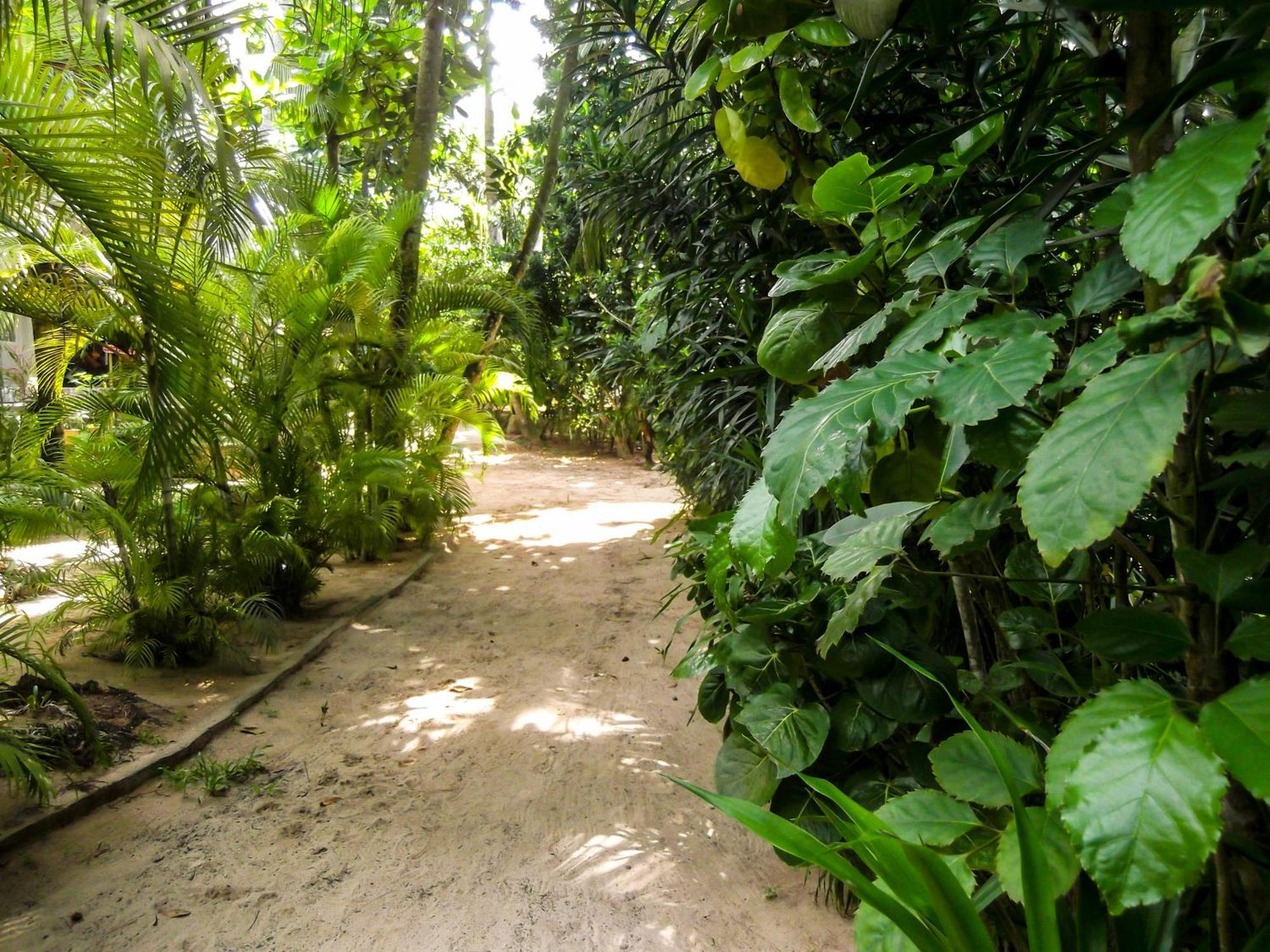 Flora And Fauna Mirissa Extérieur photo