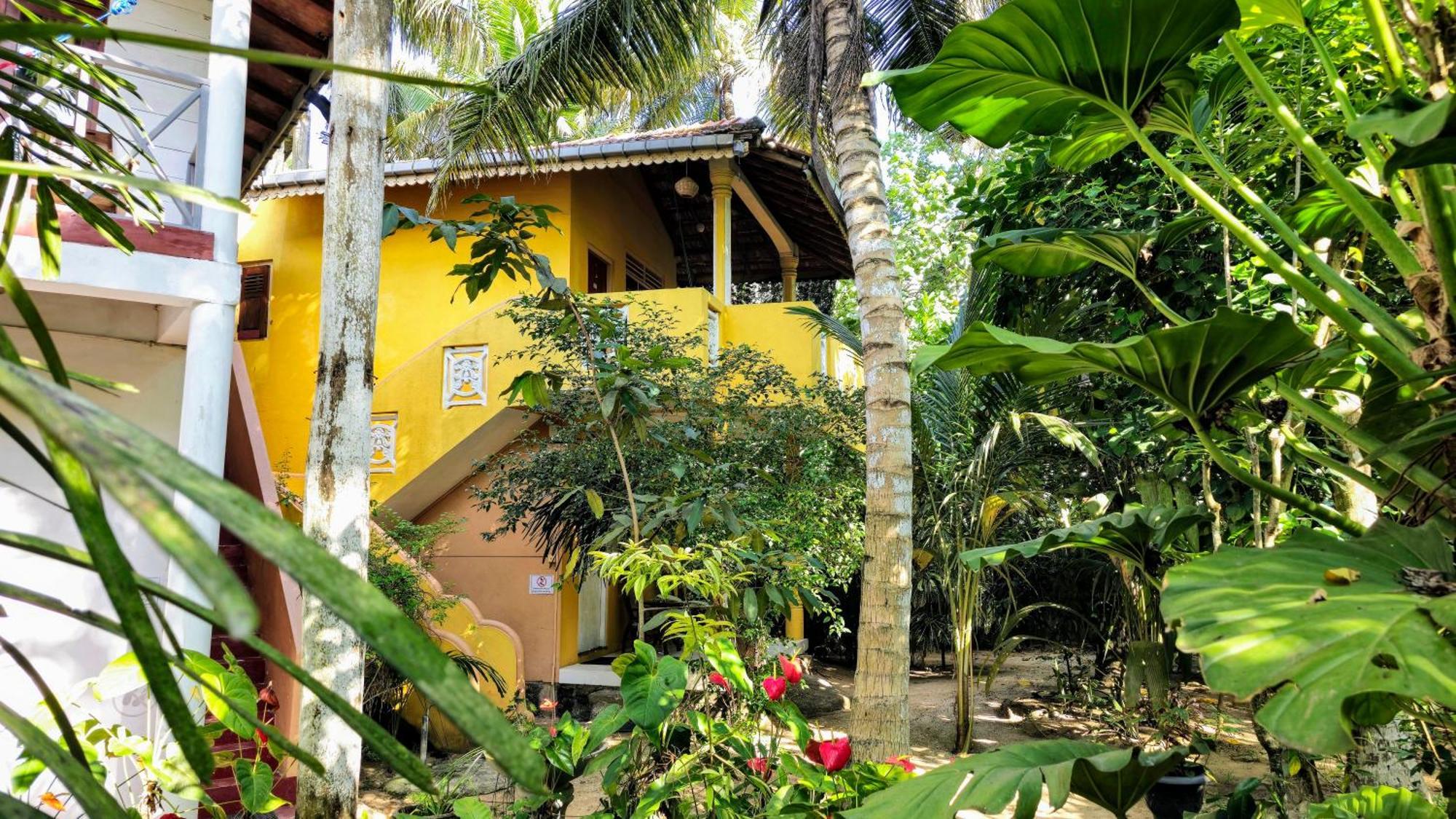Flora And Fauna Mirissa Chambre photo